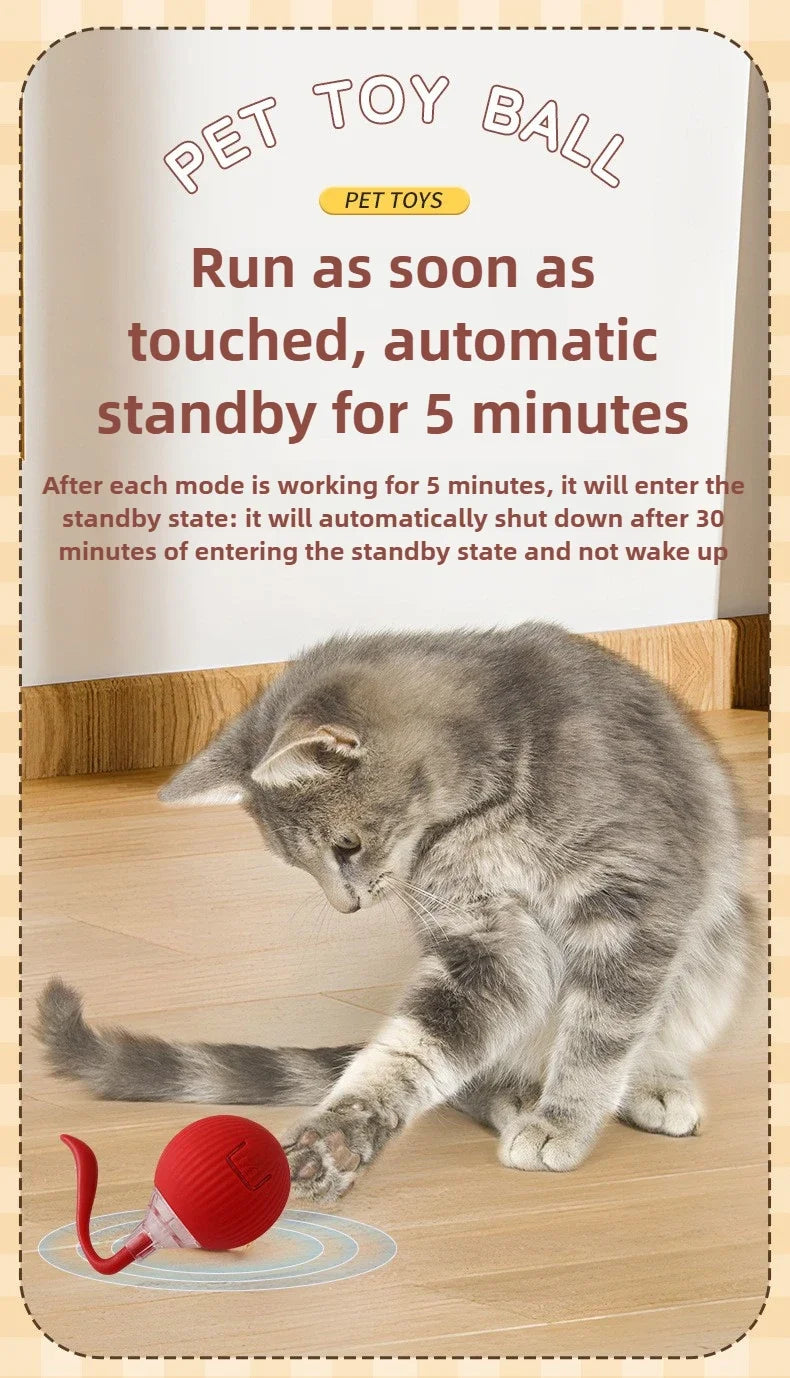 Interactive Rolling Cat Ball – Automatic & Rechargeable