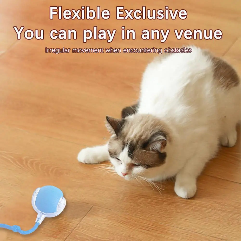 Smart Rolling Cat Toy – Rechargeable & Interactive Mouse Simulation
