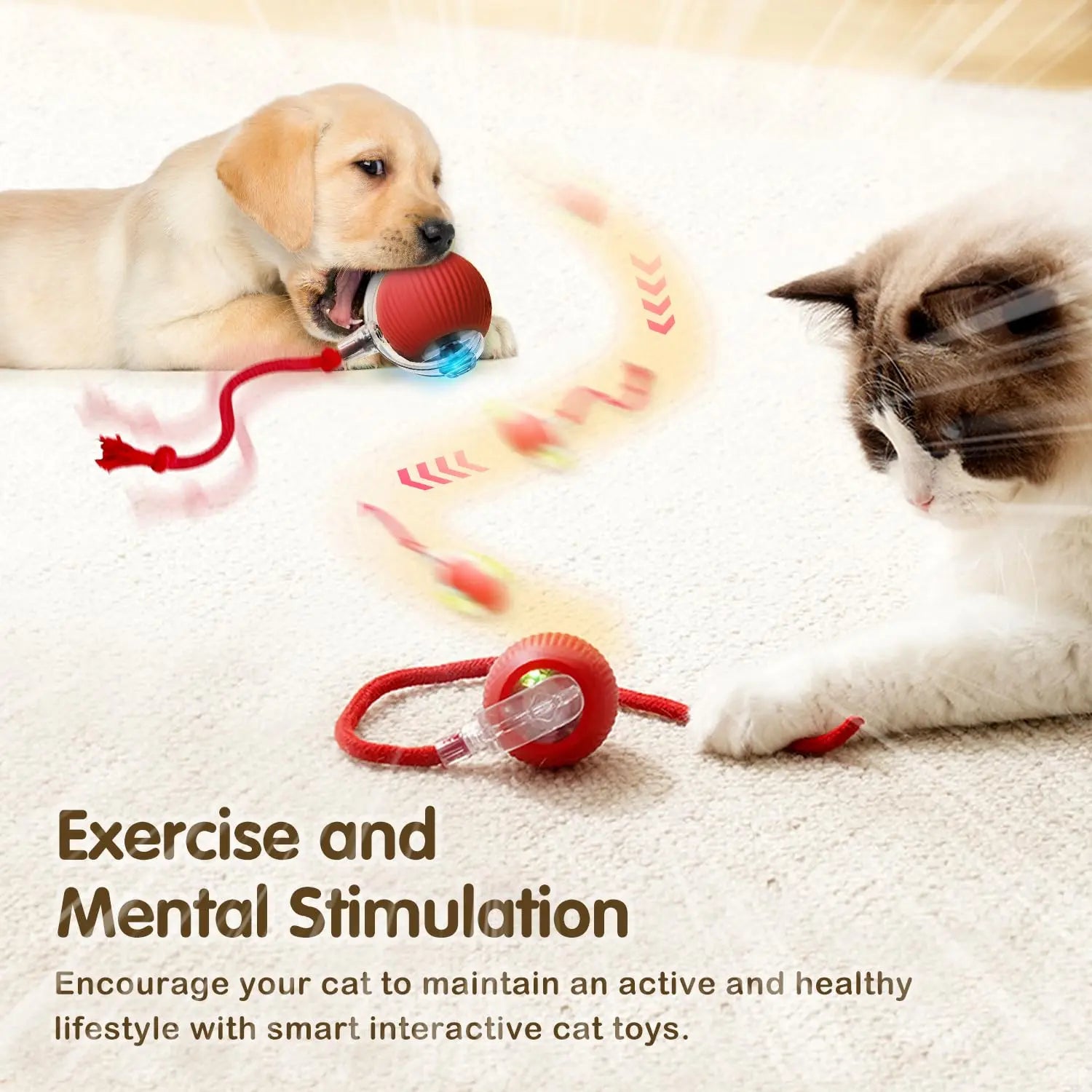 Cat Interactive Rolling Ball Toy – Rechargeable with Tail