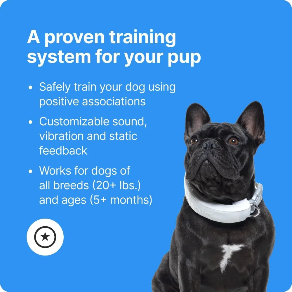 GPS Wireless Dog Fence & Training Collar