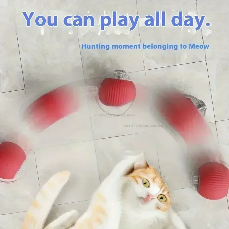 Interactive Rolling Cat Ball – Automatic & Rechargeable