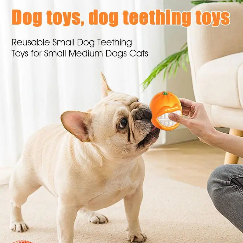 Small Dog Squeaky Toy