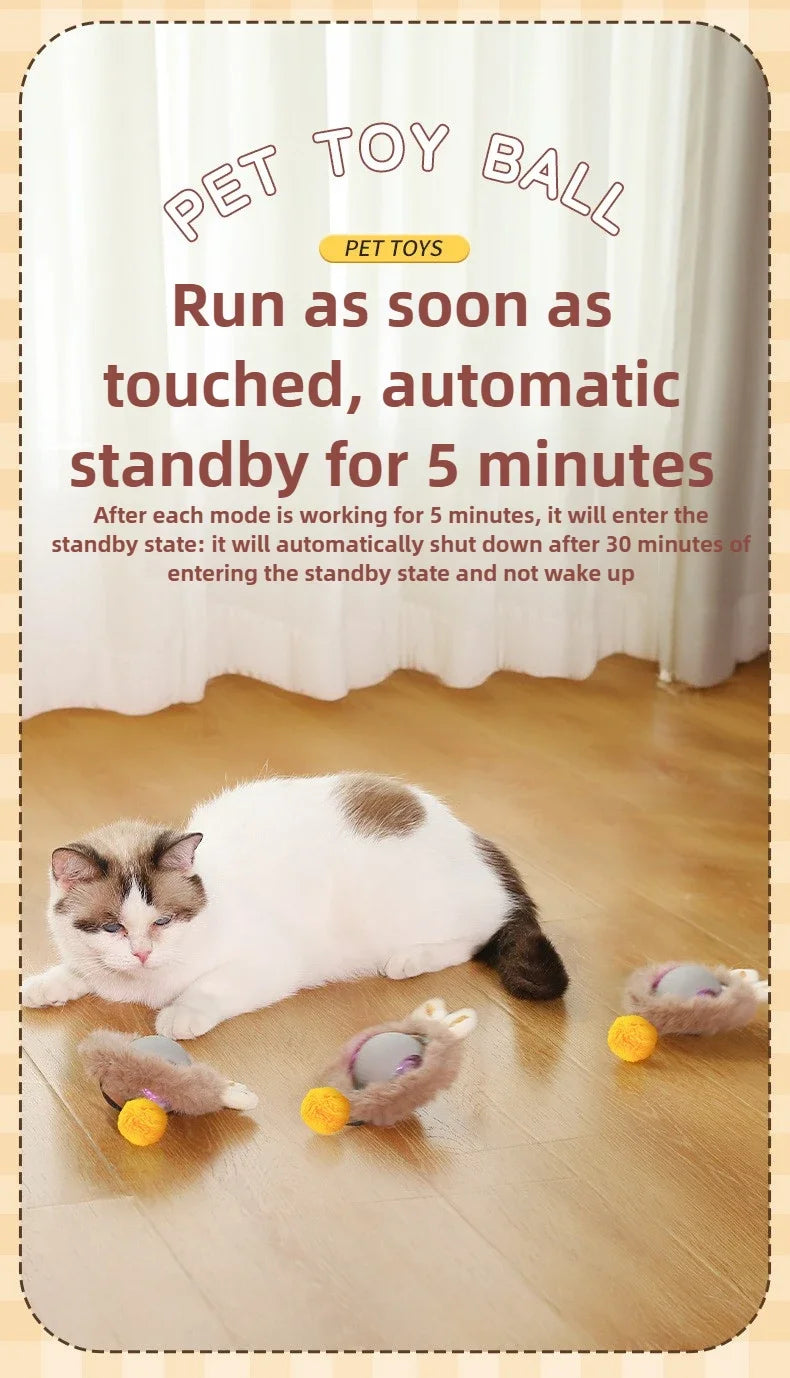 Interactive Rolling Cat Ball – Automatic & Rechargeable