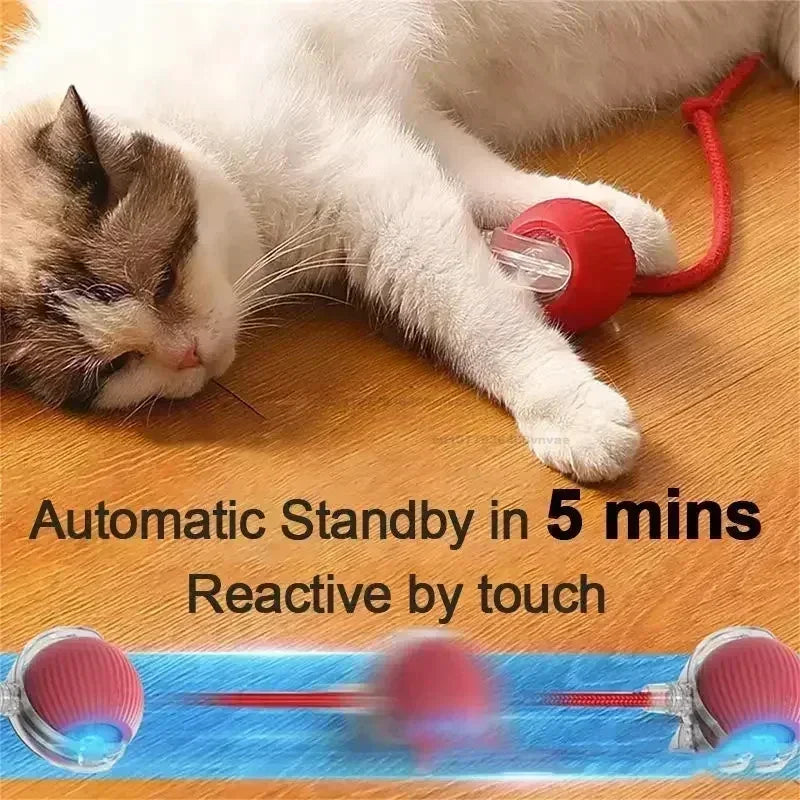 Interactive Rolling Cat Ball – Automatic & Rechargeable
