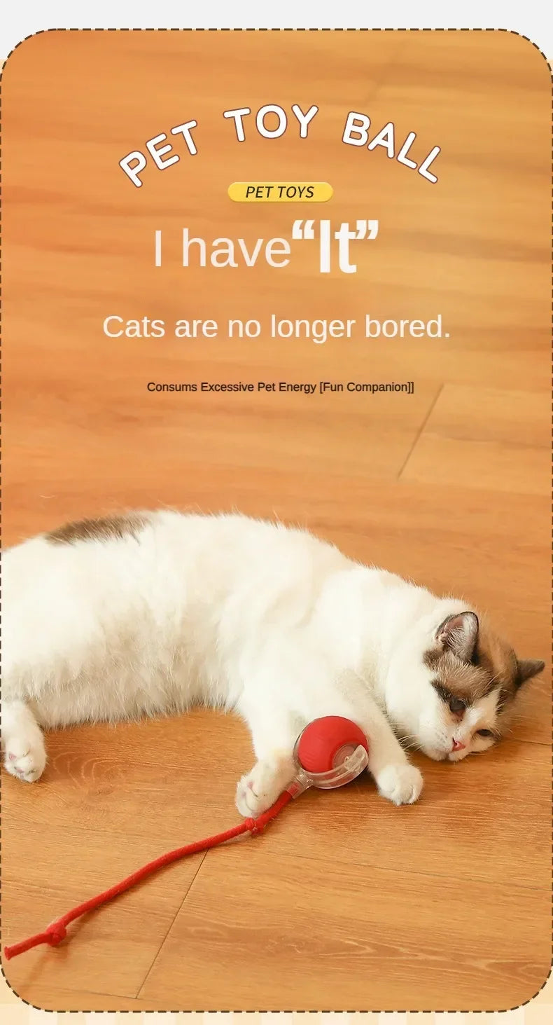 Interactive Rolling Cat Ball – Automatic & Rechargeable