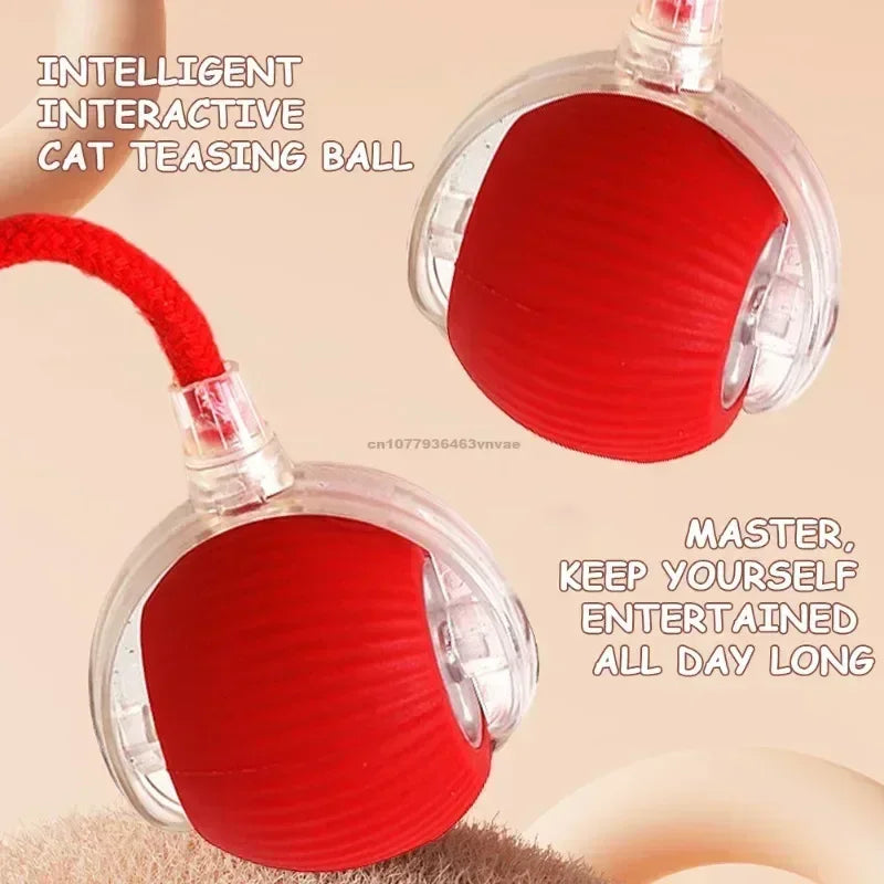 Interactive Rolling Cat Ball – Automatic & Rechargeable