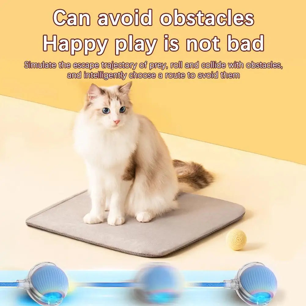 Smart Rolling Cat Toy – Rechargeable & Interactive Mouse Simulation