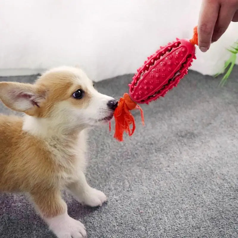 Double-Sided Sawtooth Dog Chew Toy