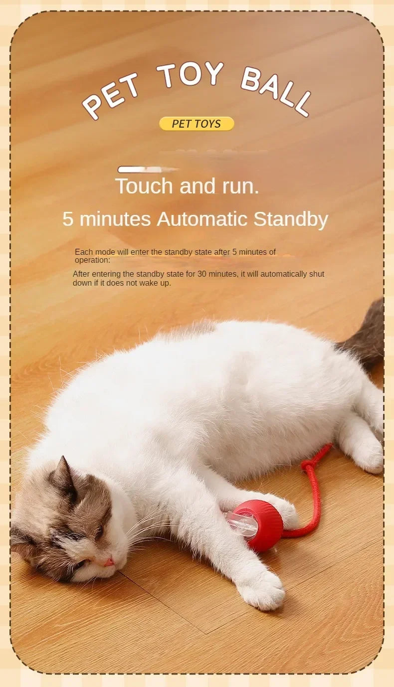 Interactive Rolling Cat Ball – Automatic & Rechargeable