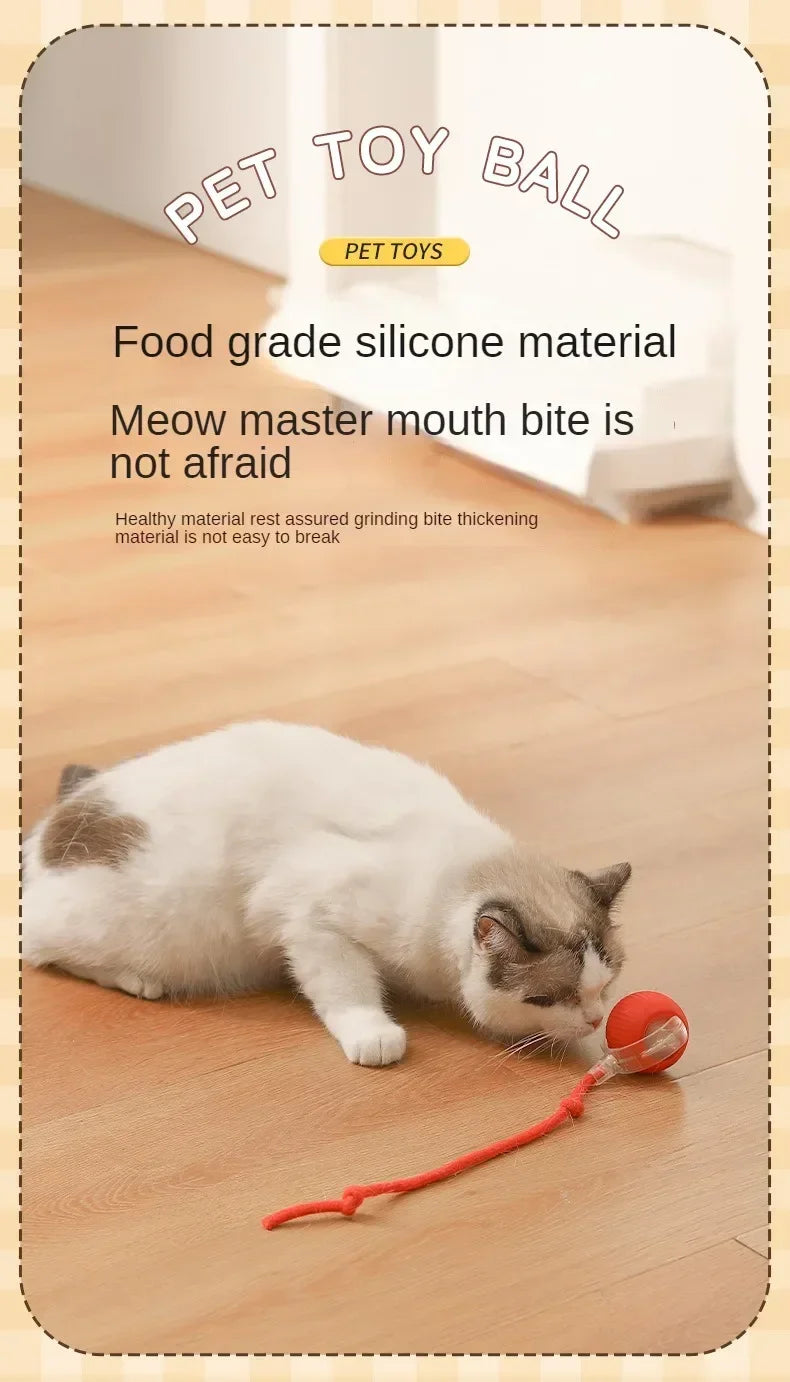 Interactive Rolling Cat Ball – Automatic & Rechargeable