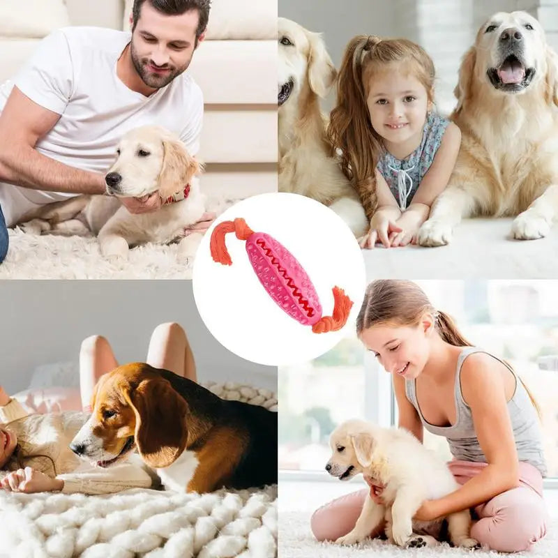 Double-Sided Sawtooth Dog Chew Toy
