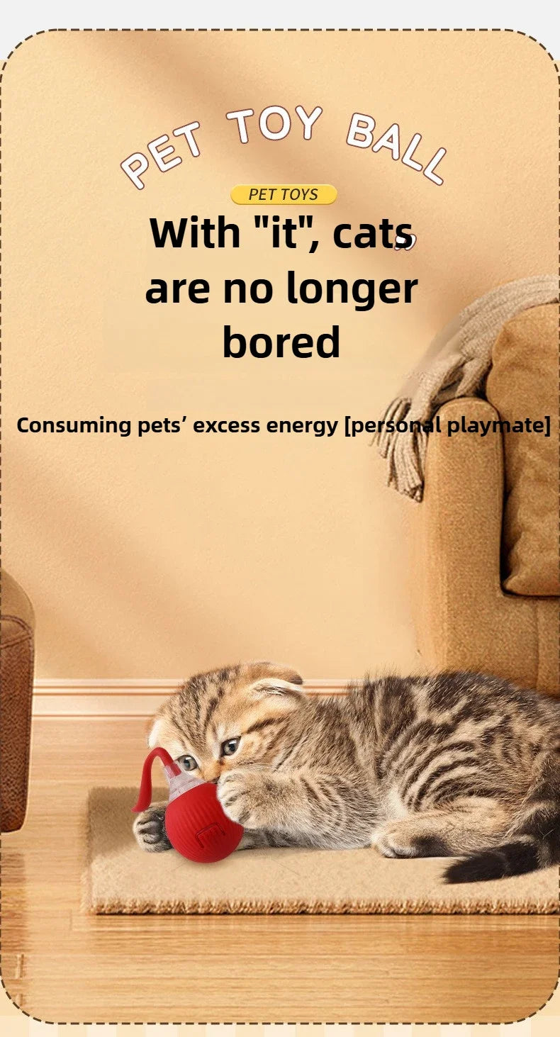 Interactive Rolling Cat Ball – Automatic & Rechargeable