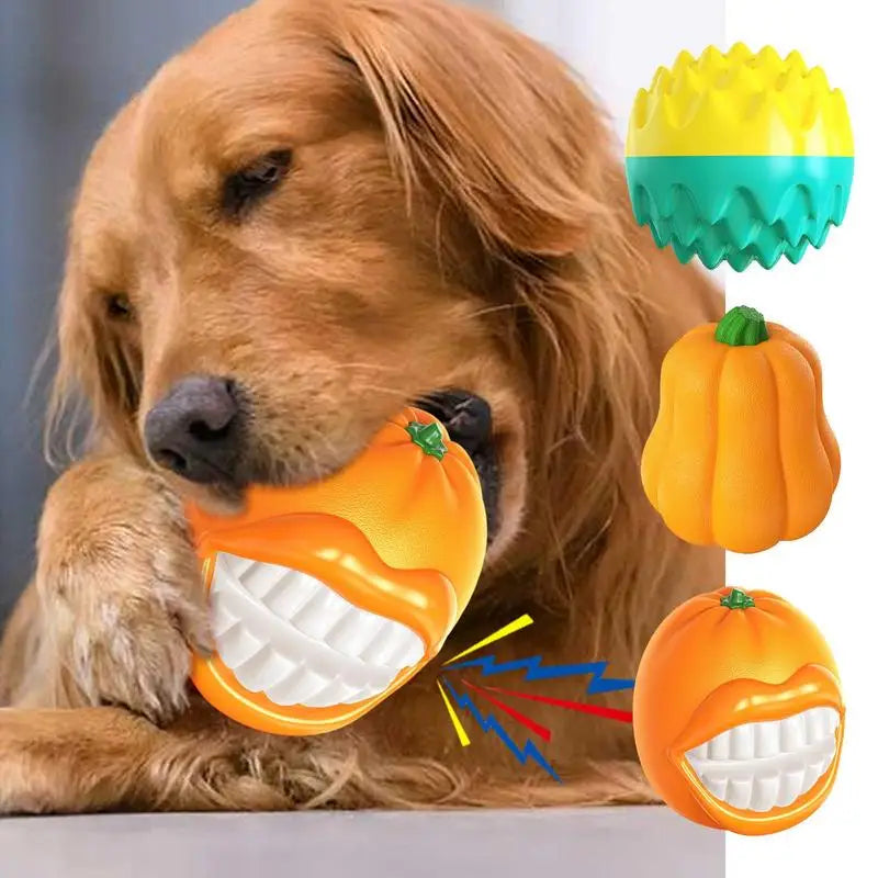 Small Dog Squeaky Toy