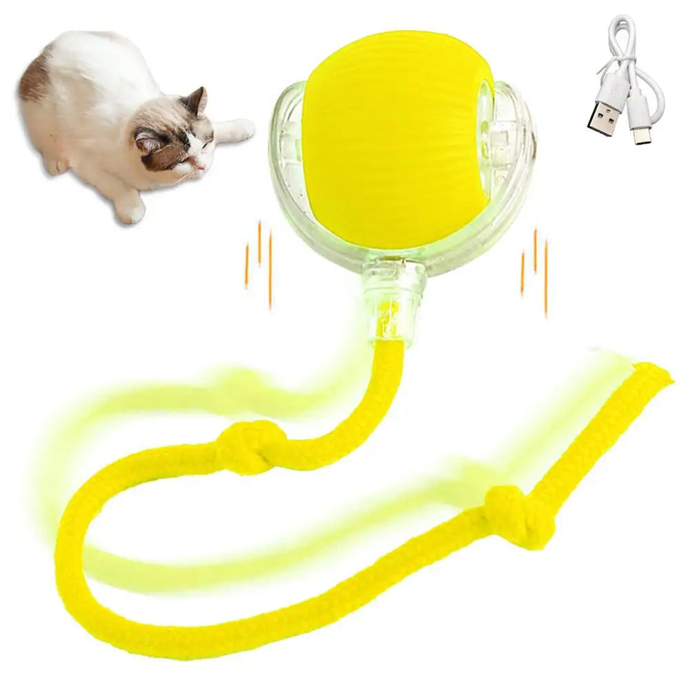 Smart Rolling Cat Toy – Rechargeable & Interactive Mouse Simulation