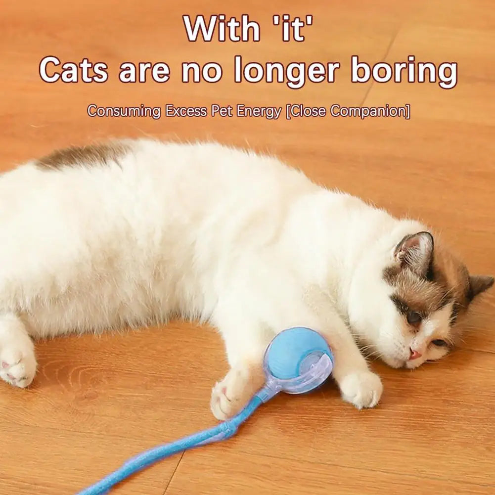 Smart Rolling Cat Toy – Rechargeable & Interactive Mouse Simulation