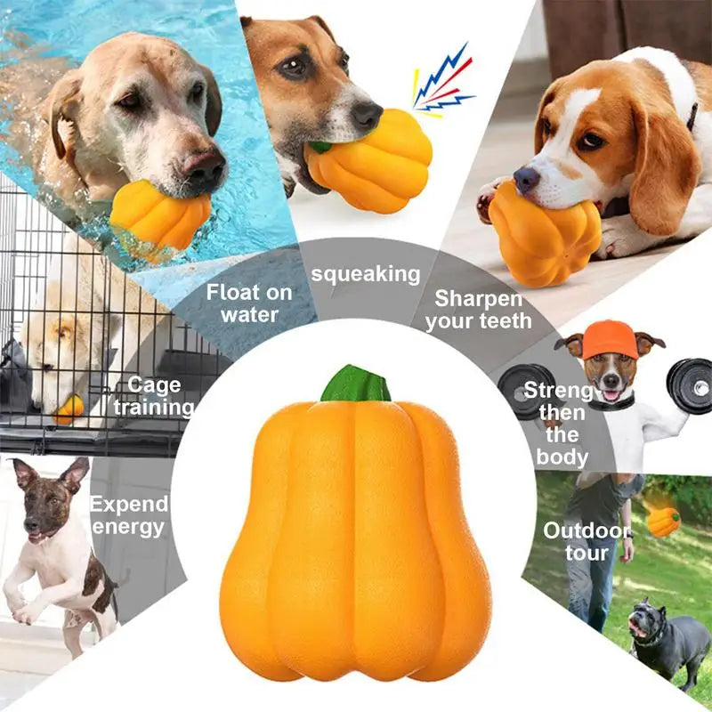 Small Dog Squeaky Toy