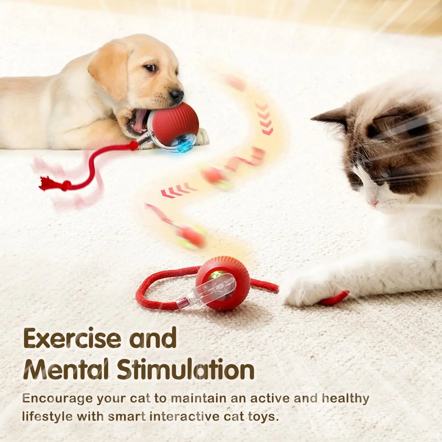 Cat Interactive Rolling Ball Toy – Rechargeable with Tail